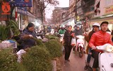 Người Hà Nội đi mua rau mùi già chiều 30 Tết